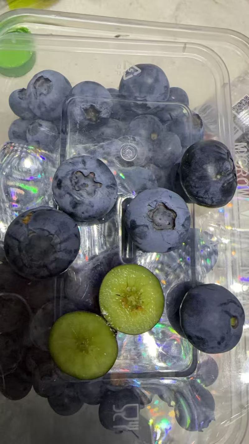 四川省凉山德昌露天蓝莓！