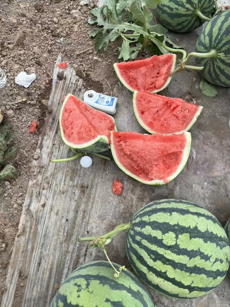 精品美都麒麟瓜，云南产地直发，可对接各大电商商超等，量大从优