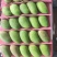 海南三亚小台芒特大果200克起步