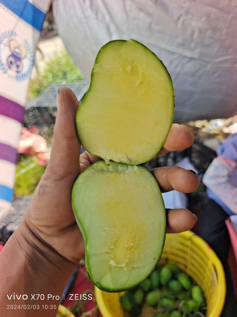 海南三亚小台芒特大果200克起步