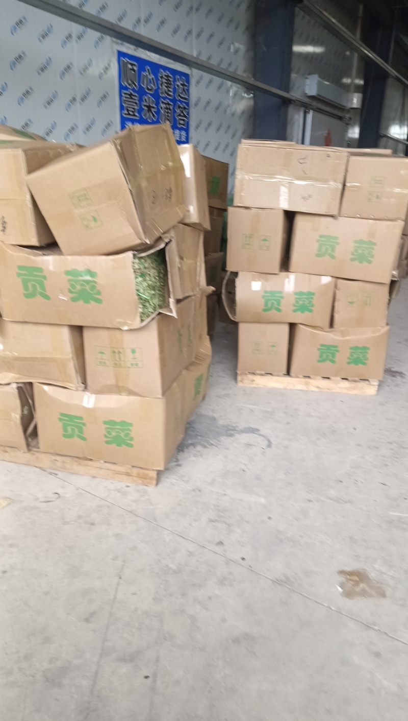 贡菜干