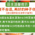 杂交九斤红种子大红圆萝卜种子夏秋播红皮白肉红丰萝卜蔬菜