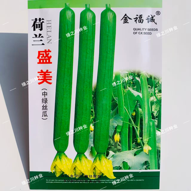 荷兰盛美丝瓜种子早熟特长中绿丝瓜种子翠绿长棒型肉质硬大田