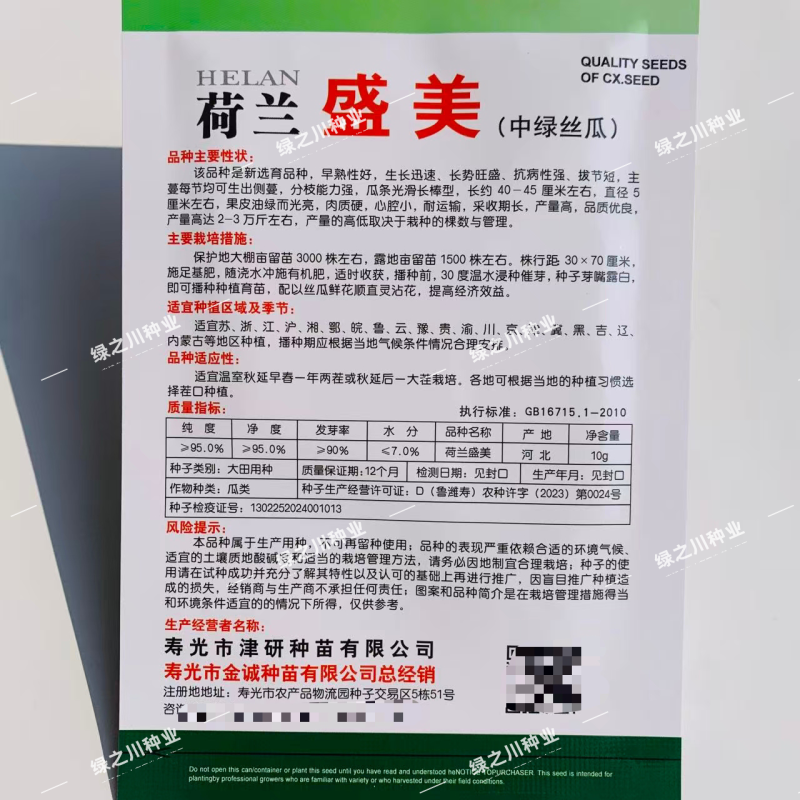 荷兰盛美丝瓜种子早熟特长中绿丝瓜种子翠绿长棒型肉质硬大田