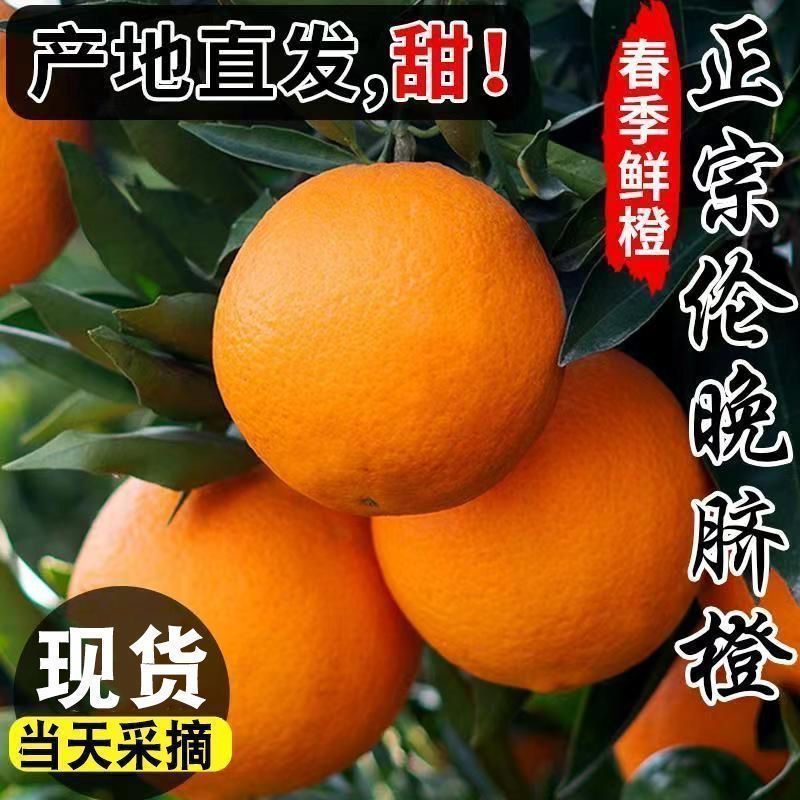 《精选》万州伦晚脐橙基地直发对接商超团购电商一条龙服务