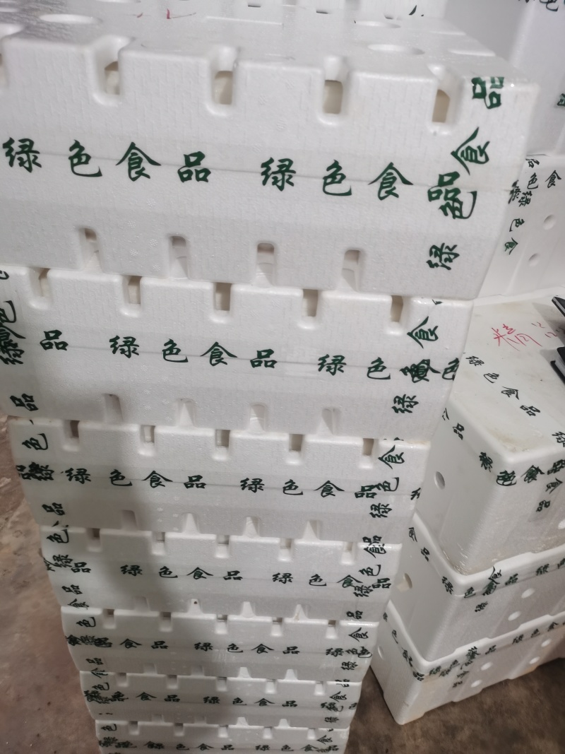 云南红河枇杷，有300吨，大量上市，自家枇杷，来基地采购