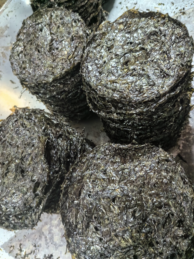 福建霞浦紫菜
