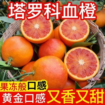 《塔罗科血橙》重庆万州大量上市中基地直发对接商超团购电商