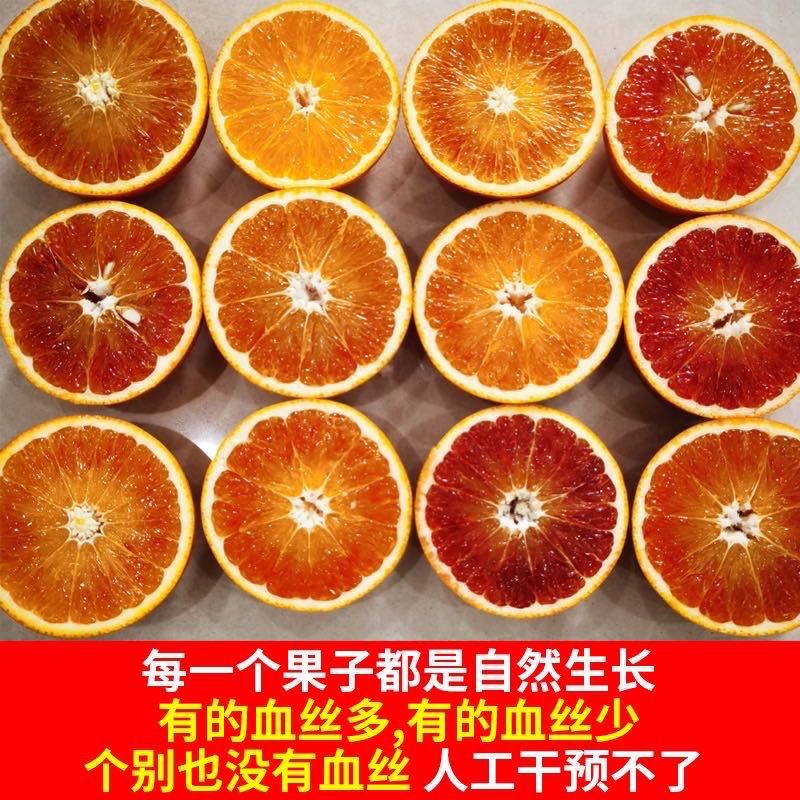 《塔罗科血橙》重庆万州大量上市中基地直发对接商超团购电商