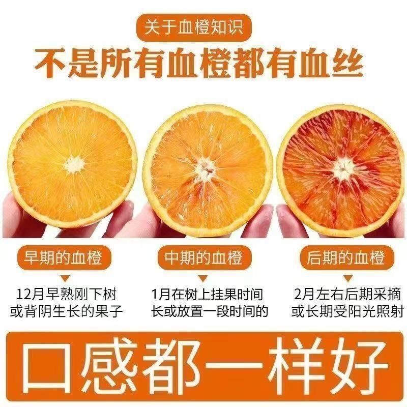《塔罗科血橙》重庆万州大量上市中基地直发对接商超团购电商