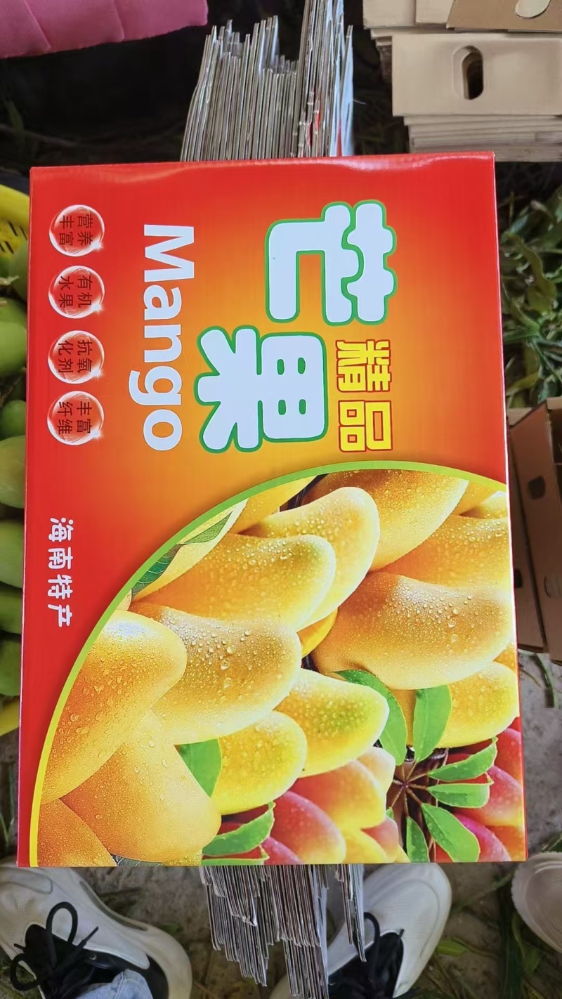 《包邮》广西百色小台芒基地直发保质保量现摘现发一件代发