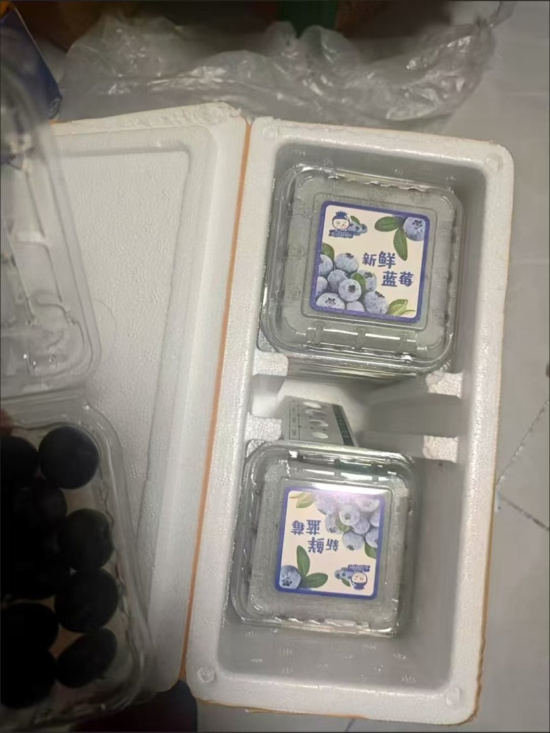 云南花香蓝莓电商一件发货抖音24小时内揽收发货包时效