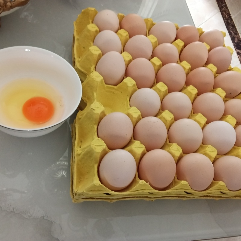 红心鸡蛋