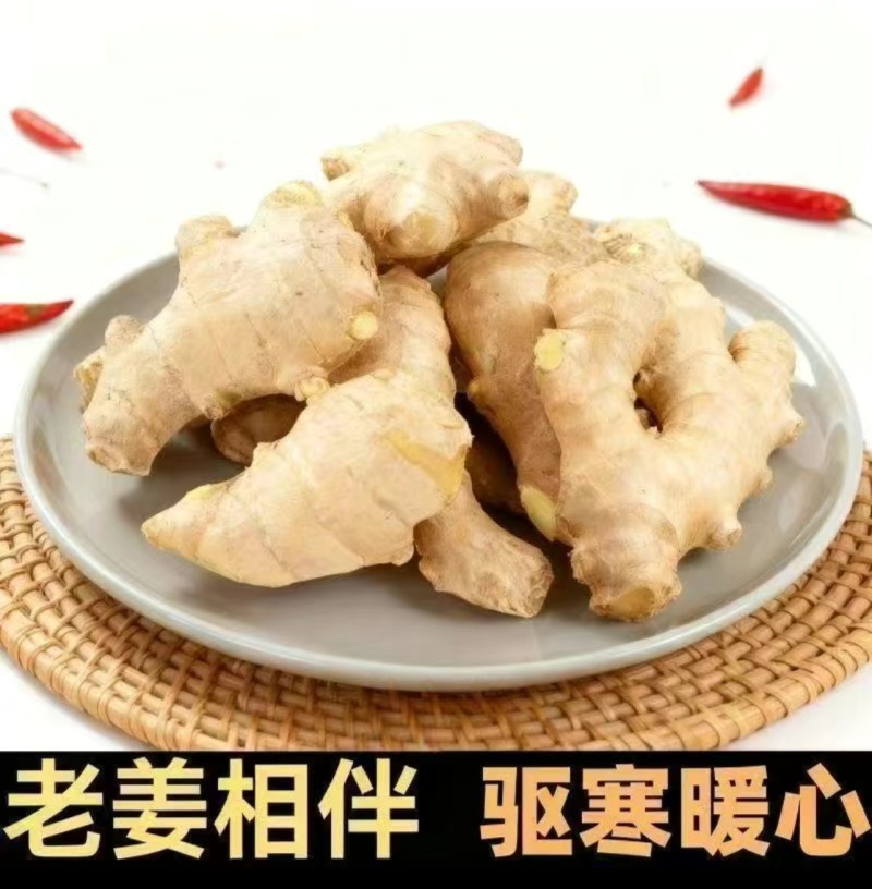 山东大姜水洗无泥黄姜鲜姜姜块批发