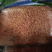 8个色上花生米