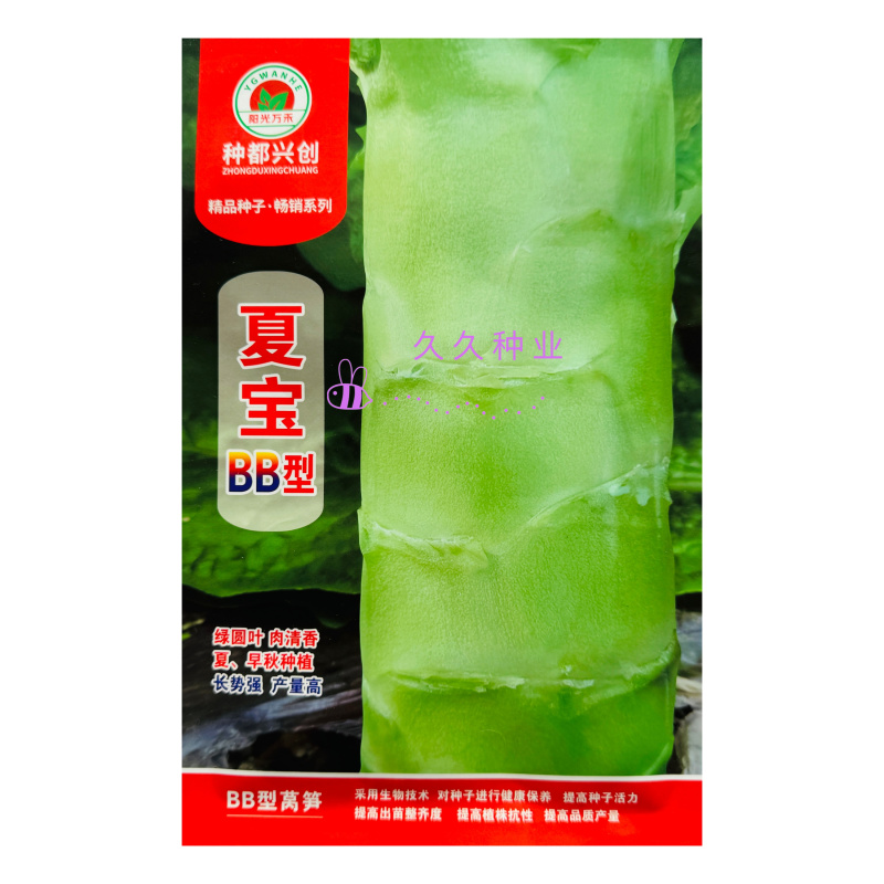 夏宝BB型莴苣种子耐高温莴笋种籽圆叶早秋种植长势旺产量高