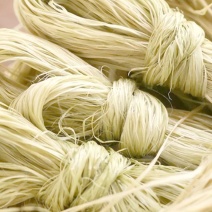 苎麻