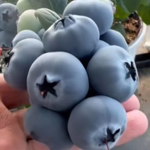 蓝莓
