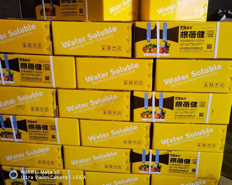 根蓓健含换黄腐酸钾水溶肥料生根壮秧厂家直发
