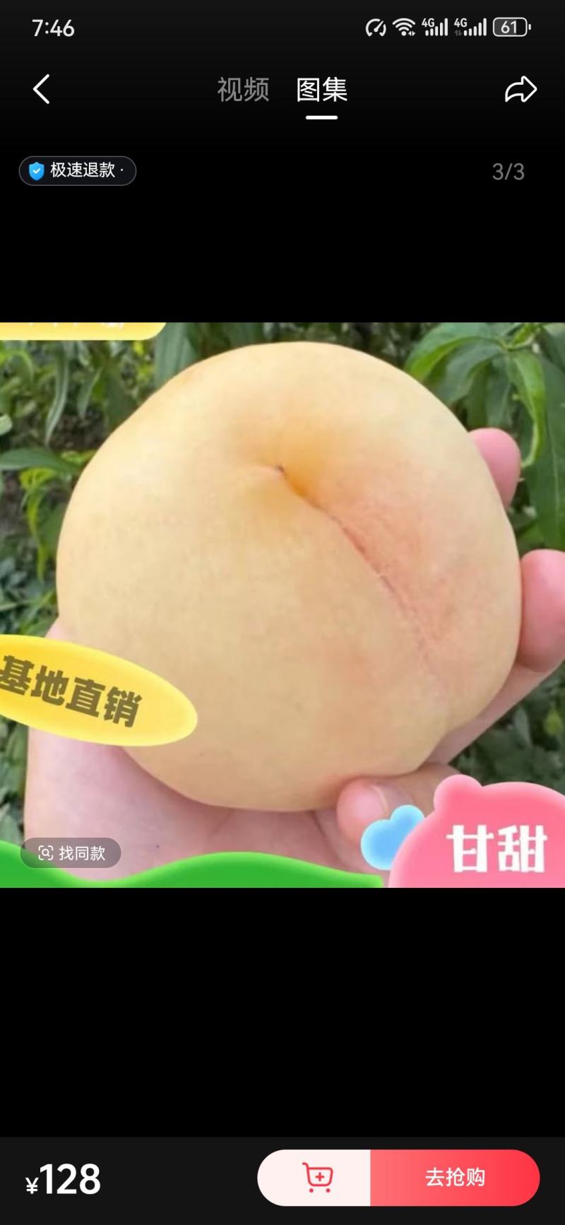 甘甜灿烂白桃基地发货现要现挖品种纯正可签合同