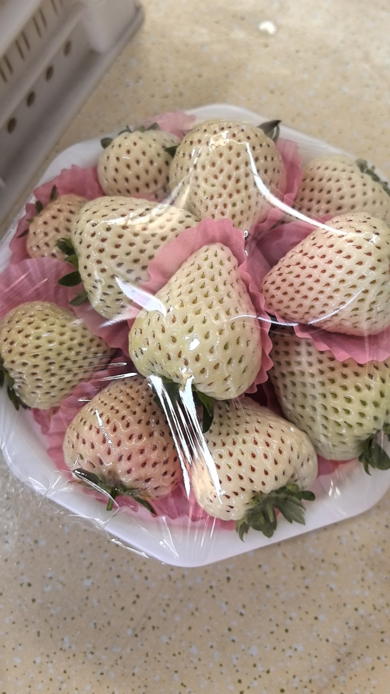 应季新鲜水果