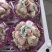 应季新鲜水果