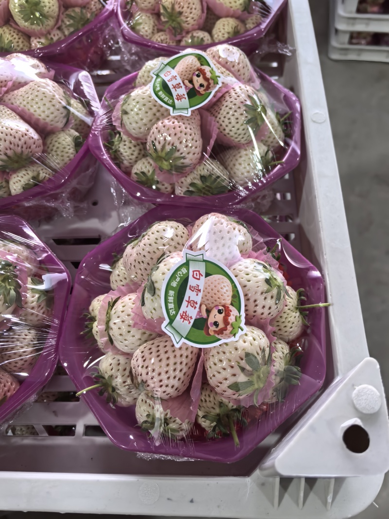 应季新鲜水果