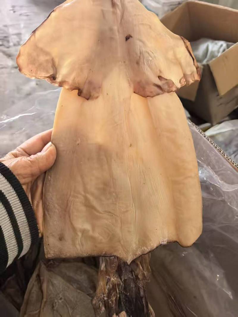 鱿鱼干盐干淡干产地直发适合农贸地摊电商大量批发