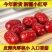 新疆红枣