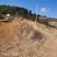 出租山地20亩和80亩各一片，地势平缓可机耕，有牛舍一栋
