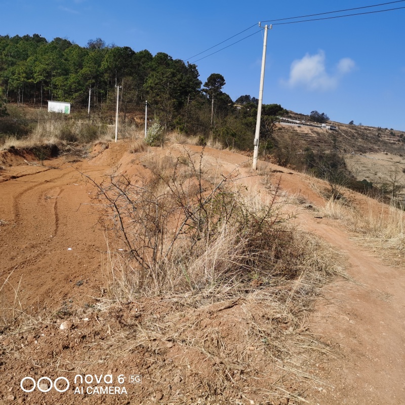出租山地20亩和80亩各一片，地势平缓可机耕，有牛舍一栋