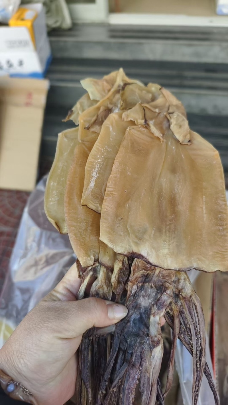 鱿鱼干盐干鱿鱼淡干鱿鱼干干货批发直供