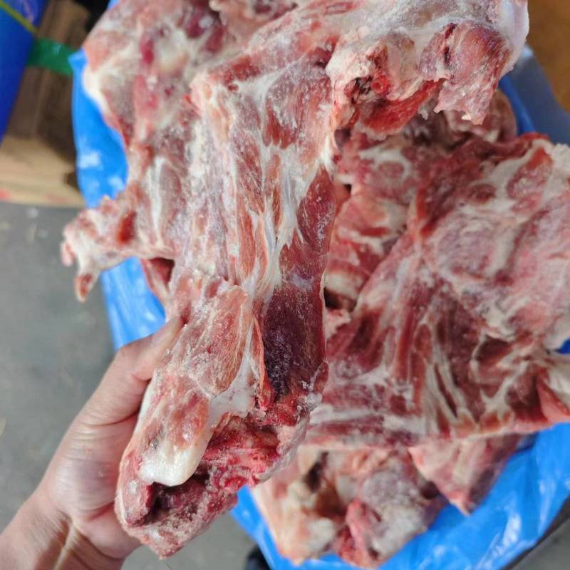 猪胫骨