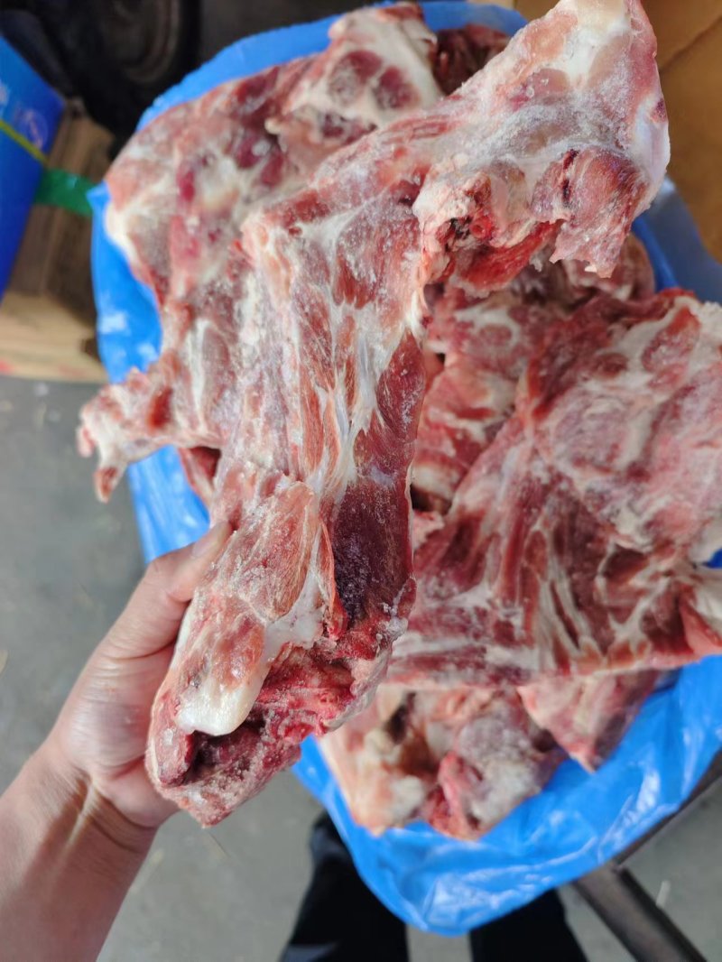 猪胫骨