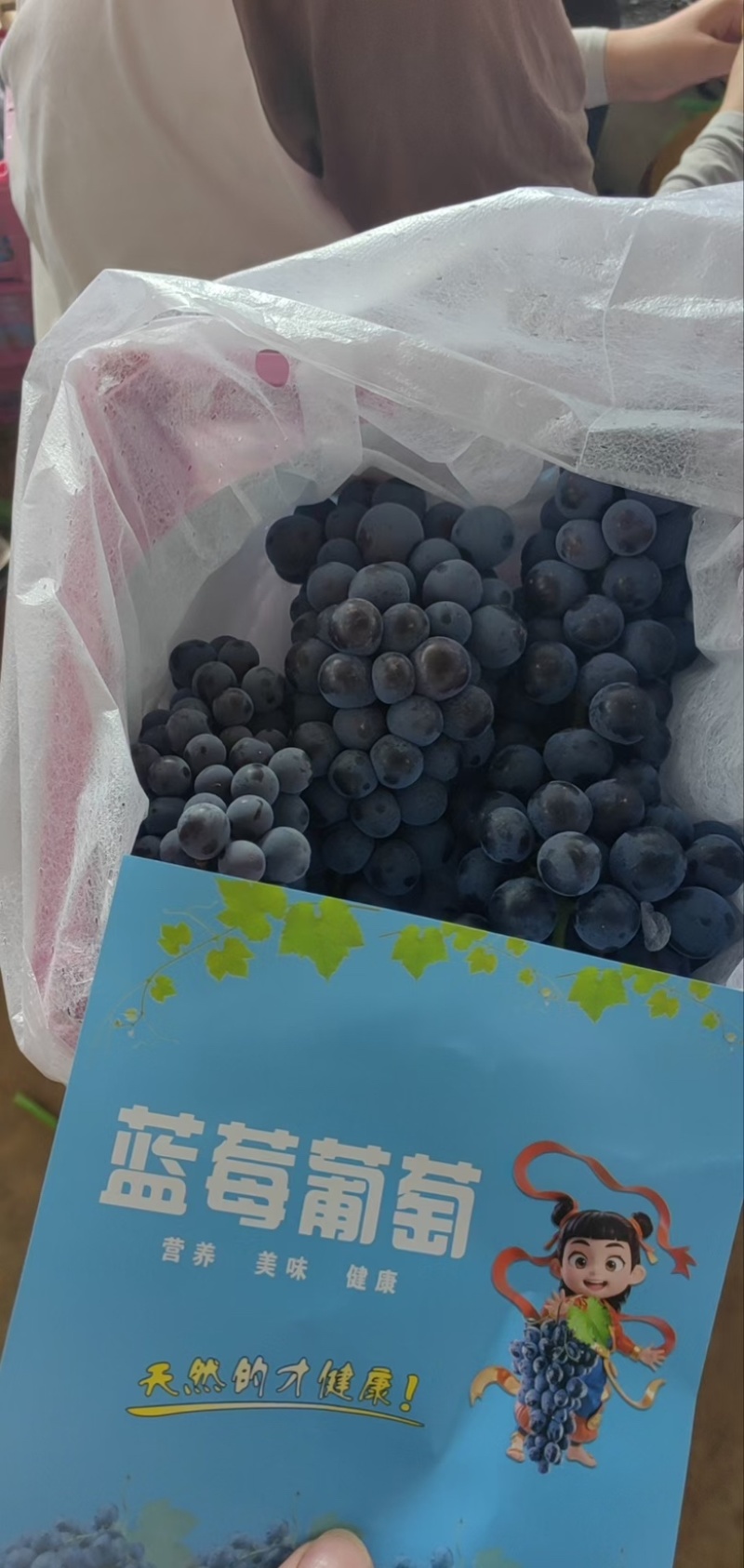 夏黑