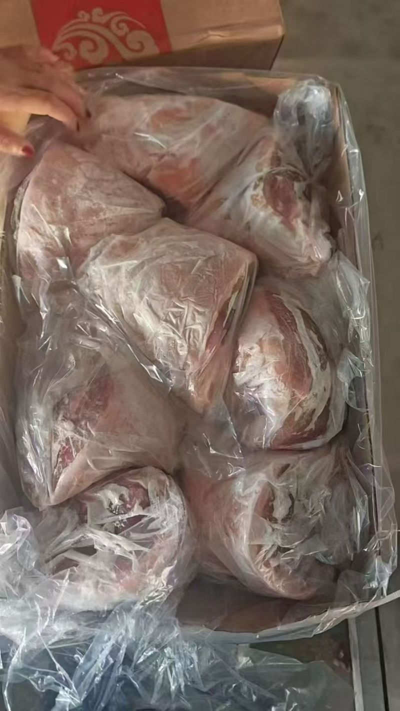 **日期八头后肘20斤