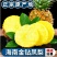 云南凤梨-菠萝-一件代发包售后日发万单对接各大电商平台！