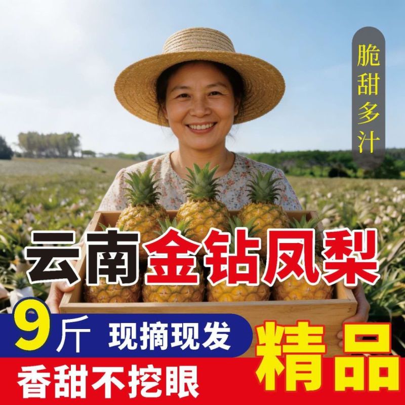 云南凤梨-菠萝-一件代发包售后日发万单对接各大电商平台！