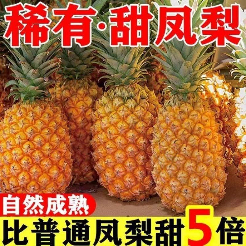 云南凤梨-菠萝-一件代发包售后日发万单对接各大电商平台！