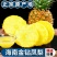 云南凤梨-菠萝-一件代发包售后日发万单对接各大电商平台！