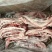 带肉羊胸骨