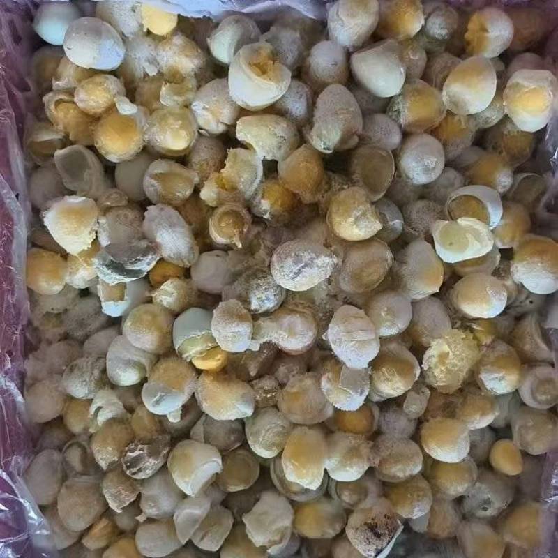 鹌鹑蛋10吨