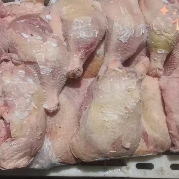 二级种鸡排腿价格优惠