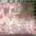 二级种鸡排腿价格优惠