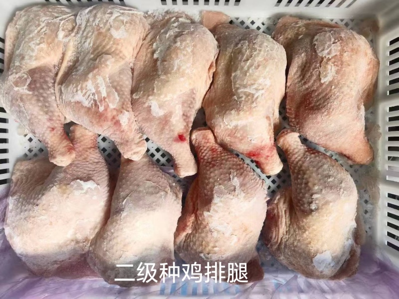二级种鸡排腿价格优惠