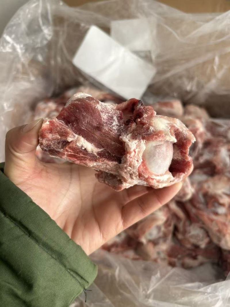 滩羊满肉羊后棒骨，前棒骨