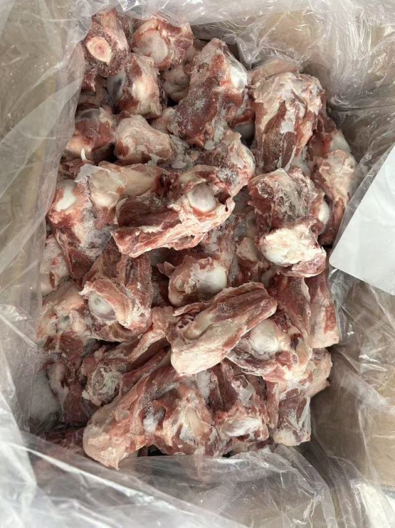 滩羊满肉羊后棒骨，前棒骨