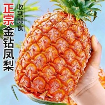 菠萝-金钻凤梨-香水菠萝电商平台一件代发日发3万单包售后