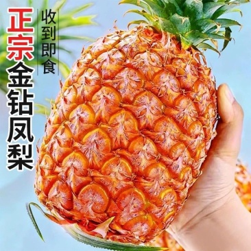 菠萝-金钻凤梨-香水菠萝电商平台一件代发日发3万单包售后