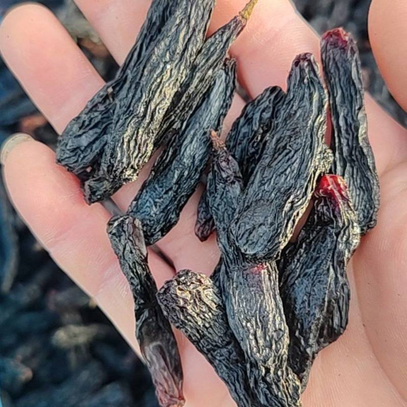 【热卖】蓝宝石葡萄干，大颗粒蓝宝石葡萄干无核葡萄干